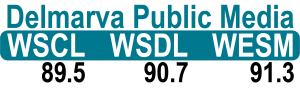 dpm_identifier_cmyk_final_sp20_pub-2356_0
