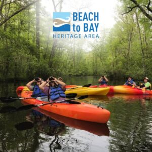 beachtobay